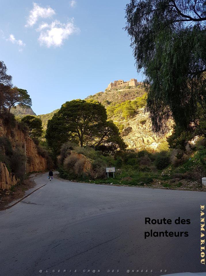 ORAN ROUTE DES PLANTEURS.jpg